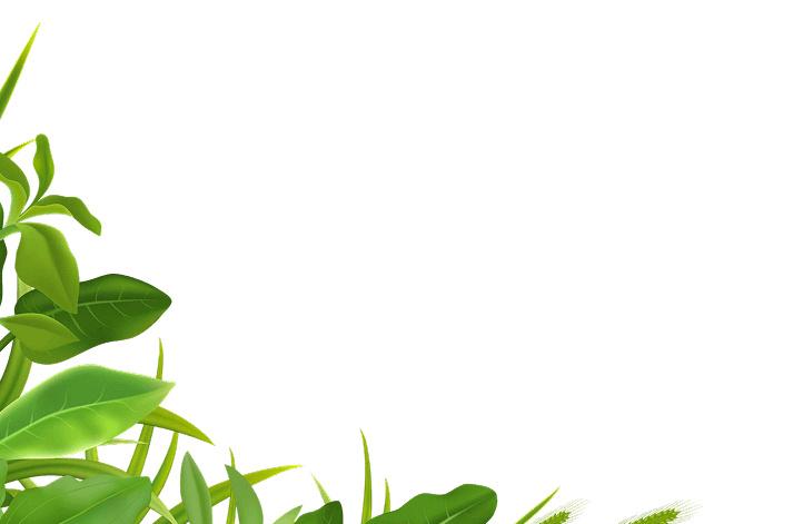 Qtee Hair & Beauty Salon