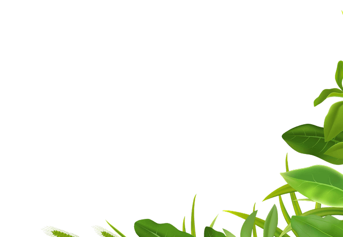 Qtee Hair & Beauty Salon